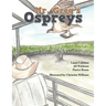 Mr. Greg's Ospreys