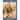 Our Cadaver