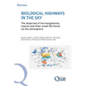 Biological Highways in the Sky: The dispersal of microorganisms, insects and other small life forms via the atmosphere