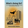 What's Going On?: The Holy Spirit in Christian History, Black Theology, and the Economy of God's Love