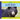 Black Bears