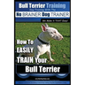 Bull Terrier Training Dog Training with the No BRAINER Dog TRAINER We Make it THAT Easy!: How To EASILY TRAIN Your Bull Terrier