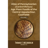 Atlas Of Pennsylvanian (Carboniferous) Age Plant Fossils of the Central Appalachian Coalfields: Volume 2
