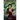 Thornbound: Volume II of The Harwood Spellbook