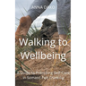 Walking to Wellbeing