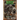 Big Book of American Cryptids