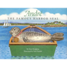 Andre the Famous Harbor Seal