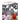 Boomer Sooner! History of Oklahoma Sooners Football