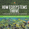 How Ecosystems Thrive A Discussion of Life Within Ecosystems Life Science Biology 4th Grade Children's Biology Books