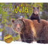 Born Wild 2: In Yellowstone and Grand Teton National Parks