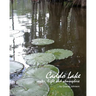 Caddo Lake: water, light and atmosphere