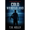 Cold Wonderland: An Ernie Creekmore Mystery