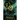 Ghost in the Cogs