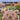 Through the Eyes of a Bear