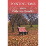 Pointing Home