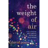 The Weight of Air: A Story of the Lies about Addiction and the Truth about Recovery