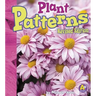 Plant Patterns