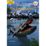 Where Are the Everglades?