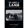 In Like A Lamb: Living In The Wilds Of Unethical Legalism