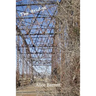 The Bridge