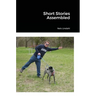 Short Stories Assembled