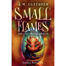 Small Flames Jory the Orange Dragon