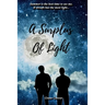 A Surplus of Light: A Gay Coming-of-Age Tale
