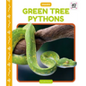 Green Tree Pythons