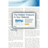 The Hidden Treasure in Your Website: The First Professional Guide to Monetizing Your Website with In-Text Advertising