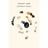 The Selected Poems of José Emilio Pacheco