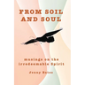 From Soil and Soul: musings on the irredeemable Spirit