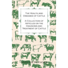 The Health and Diseases of Cattle - A Collection of Articles on the Diagnosis and Treatment of Cattle