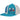 MENS MITCHELL & NESS NBA POP PANEL SNAPBACK HWC HORNETS - OFF WHITE-TEAL by SNEAKAR