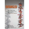 Entangled: How People with Serious Mental Illness Get Caught in Misdemeanor Systems