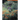 Native Plants for Wildlife Habitat and Conservation Landscaping (Color Print): Chesapeake Bay Watershed