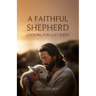 A Faithful Shepherd Looking for Lost Sheep