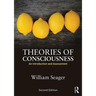 Theories of Consciousness: An Introduction and Assessment