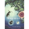 Wasp to a Fig