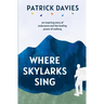Where Skylarks Sing: An inspiring story of endurance and the healing power of walking