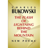 The Flash of Lightning Behind the Mountain: New Poems