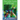 The Life Cycle of Frogs: Fluency Launch