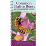 Common Native Bees of the Western United States: Your Way to Easily Identify Bees and Look-Alikes