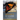 A Monarch in Winter: Biography of a Butterfly