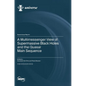A Multimessenger View of Supermassive Black Holes and the Quasar Main Sequence