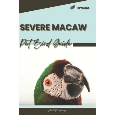 Severe Macaw: Pet bird guide