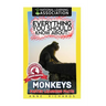 Everything You Should Know About: Monkeys