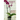 Orchids 101: Your quick guide to grow beautiful orchids with simple care techniques