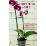 Orchids 101: Your quick guide to grow beautiful orchids with simple care techniques