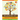 Branching Out: Genealogy for 4th-8th Grade