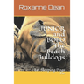 JUNIOR and BOBO The Beach Bulldogs: Let Sleeping Dogs Lie